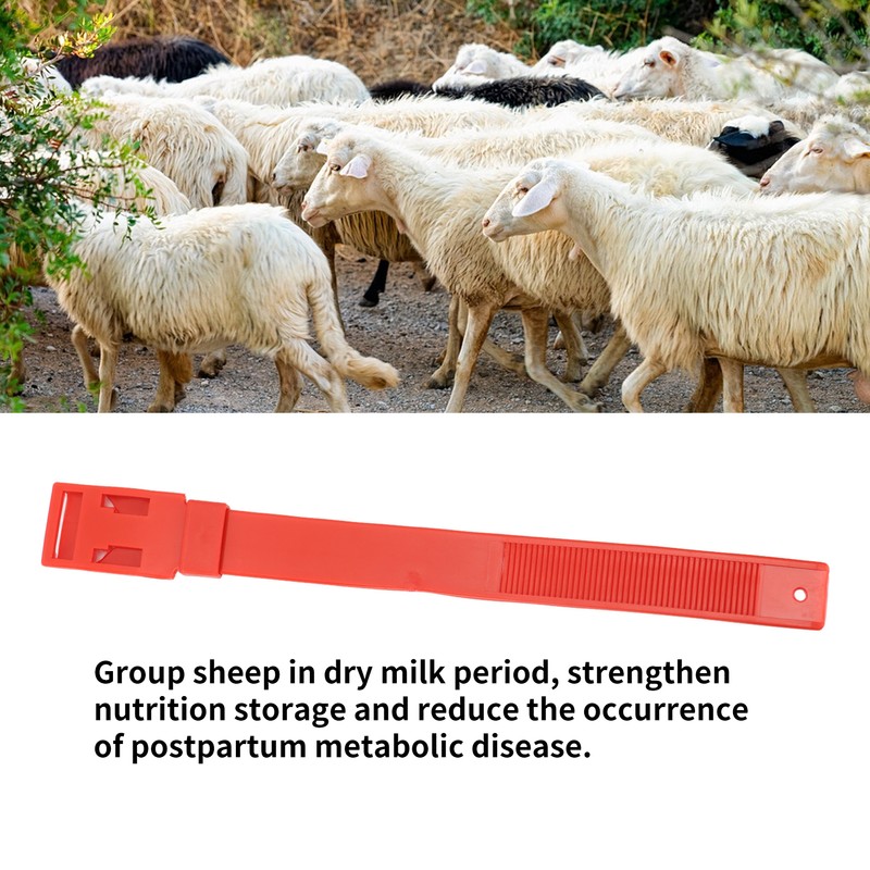10Pcs Goat Collar Sheep Identification Bands Livestock Marking Ring Farming