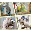 Sirvarni Bird Mirror with Perch Stand InteractiveToys Cage Accessories for