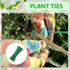 Trellis Net for Climbing Plants, 2 x 5 m, Plant