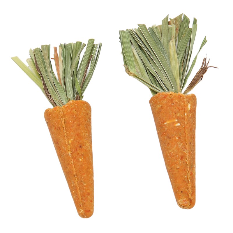 20pcs Carrot Shaped Hamster Toy Teeth Grinding Decorative Crude Fiber