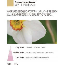 Millefiori Refill bottle, translucent, 250 ml