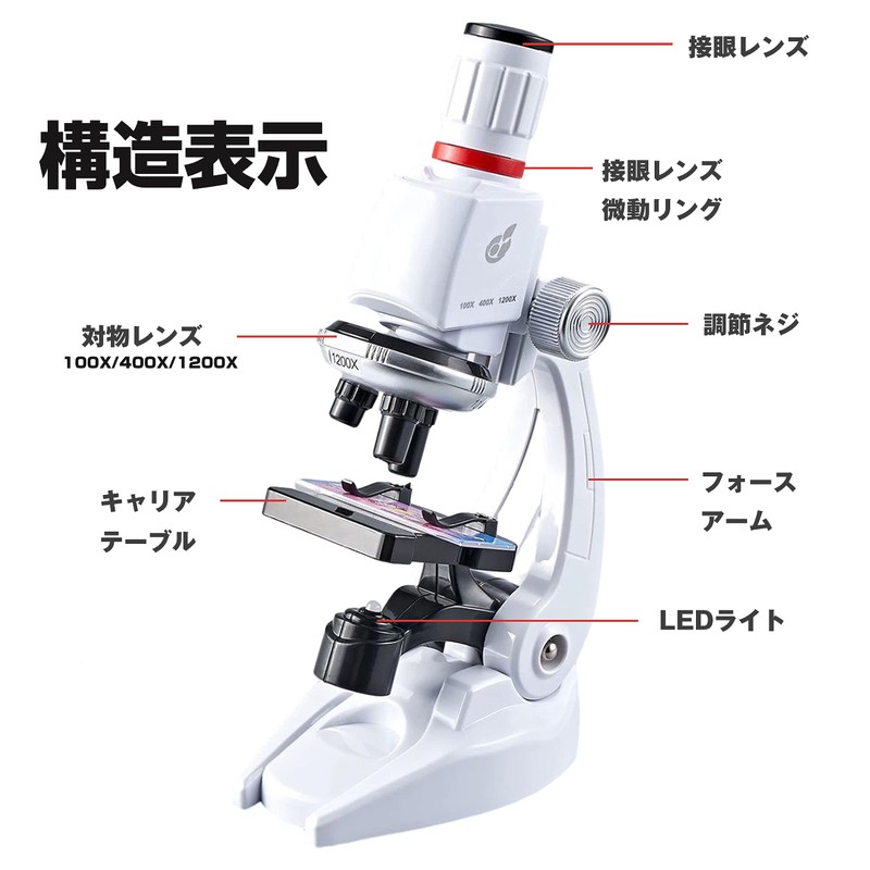 Microscope, Beginner Microscope, 100-1200x, Smartphone, Photography, Students, Children, Beginners, Learning,