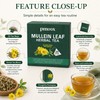 Mullein Leaf Herbal Tea for Adults – Organic-Inspired Loose Leaf