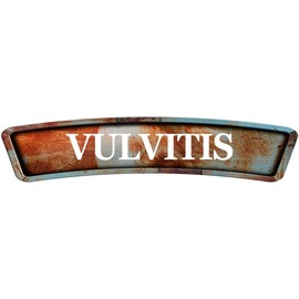 ANY AND ALL GRAPHICS Vulvitis Rusty Curved 4"x18" Shaped Weathered Rustic Metal Look Novelty décor Composite Aluminum Beach Cottage Sign.
