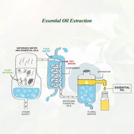 Mumianhua Neroli Essential Oil 100ml Pure Orange Blossom Essential Oil for Aromatherapy, Soap Making, Candle Making, Perfume, Skin, Hair, Diffuser, Massage