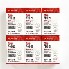 Vitamin Village Iron Double Up Iron Supplement 120 tablets 6 boxes 540218 / 비타민마을 철분 더블업 철분제 120정 6박스 540218