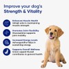 Aniwell Muscle & Vitality Formula for Dogs with Ashwagandha, Shilajit,