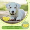 ICEMOOD Lemon Shape Dog Poop Bag Holder and Carrier -