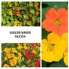 100+ Mix Nasturtium Seeds (Tropaeolum majus) Open Pollinated Easy to