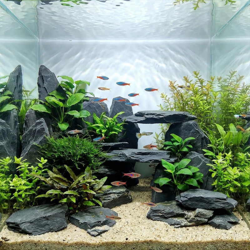 YISZM Slate Rock for Aquarium, 5-7 Inch Polished Natural Stone