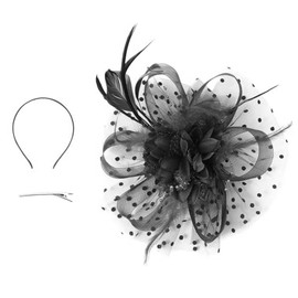 Yphzmtz Fascinator Hat Women's Mesh Flower Feather Hat with Headband and Clip Elegant Women's Hat Tea Party Headpiece Black