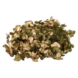 東北花材 プリザーブドフラワー FMソフトアナベル キャンディBOX BOXサイズ□8×H8cm 1輪入 DT080789-zzz