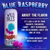Wild Bill’s Blue Raspberry Ring Pop Craft Soda Pop Soft