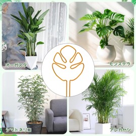 Neiang Monstera Stanch, 1 Piece Ornamental Plant Stanch, Monste, Plant Support, Alloy, Coconut, Navel Support, For Gardening, Fall Prevention