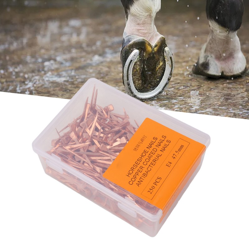 250Pcs Horseshoe Nails Copper Plated Rustproof Equestrian Riding Equipment Pet