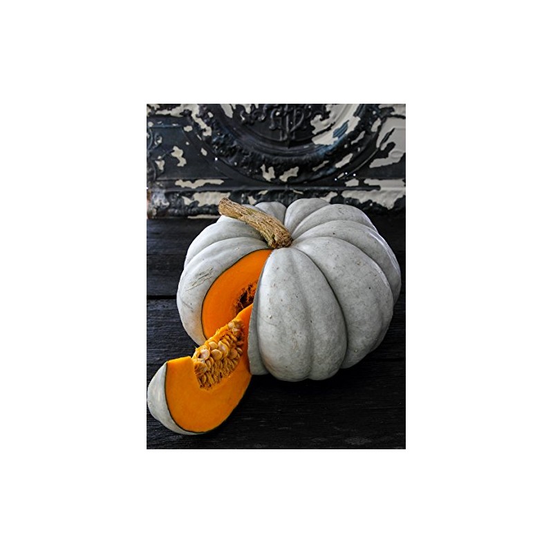 Jarrahdale Pumpkin Seeds - 1/4 LB Bulk ~450 Seeds -