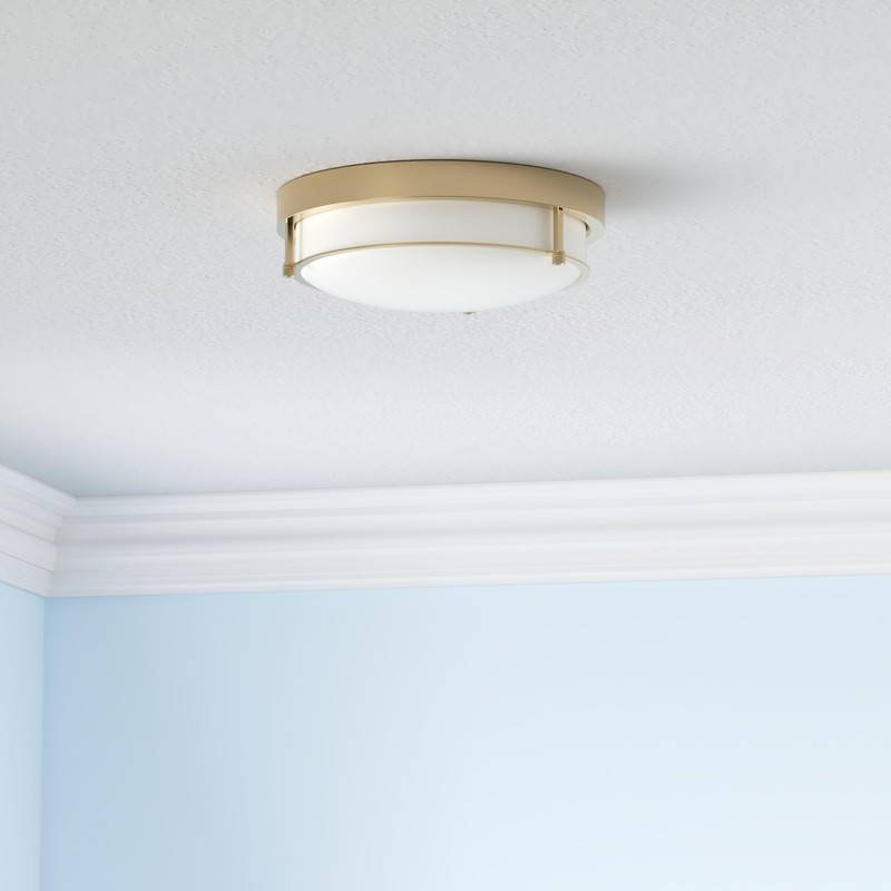 Cargifak Flush Mount Light Fixture, 12 inch 2-Light Modern Ceiling