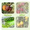 2Pcs Large 10x10FT Fruit Tree Netting with Zipper, Drawstring -
