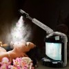 Kingsteam Professional Facial Steamer Ionic Ozone Hot Mist w/ Arm