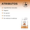 Bio B | Cúrcuma y Pimienta Negra 60 cápsulas veganas