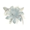 Bride Boutique Wedding Races Prom Feather & Net Flower Design