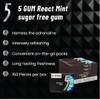 5 GUM React Mint Sugar Free Chewing Gum Bulk Pack