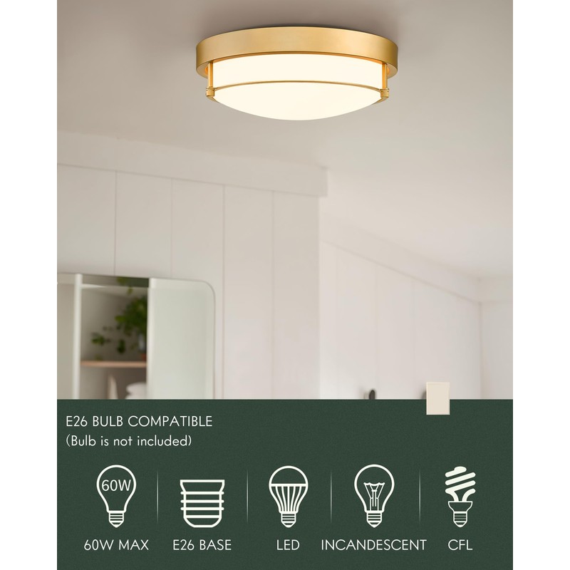 Cargifak Flush Mount Light Fixture, 12 inch 2-Light Modern Ceiling