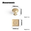 Goo-Ki Champagne Bronze Zinc Alloy Cabinet Knob with Backplate -