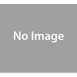 Chino Handy Thermo-Hygrometer Replacement Sensor Unit HN-EH9N