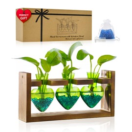 Nacome Plant Terrarium for Office Decor: Birthday Gifts for Plant Lovers Women Mom Wife - Wooden Stand Tabletop Planter 3 Bulb Glass Vase Heart Shaped for Hydroponics Indoor Home(Green)