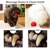 Dog Squeaky Toys Dog Chew Toys for Aggressive Chewers Indestructible