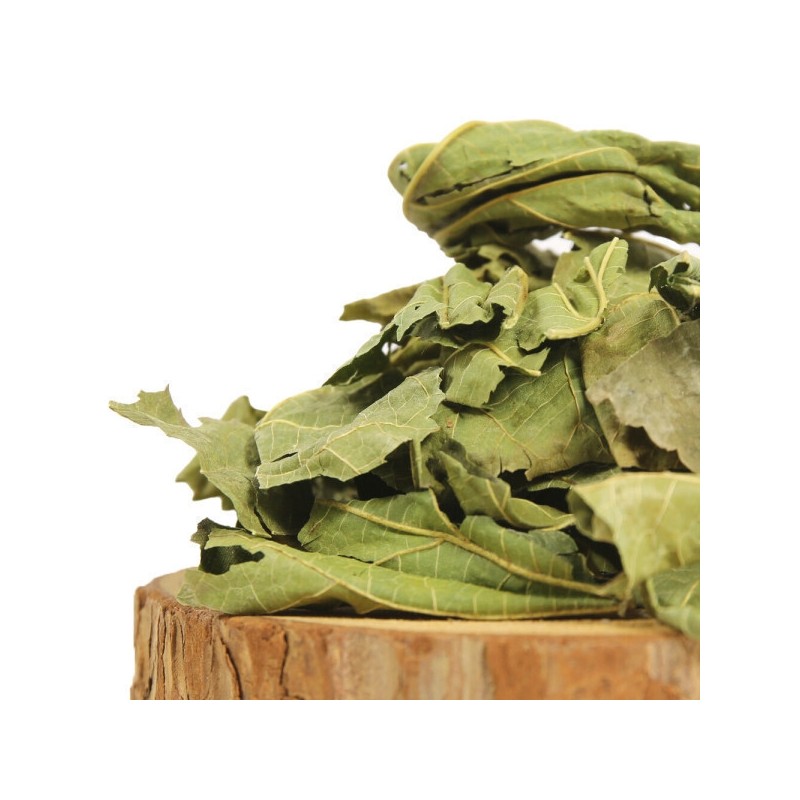 Domestic dried mulberry leaves 400g, 5 leaves / 국산 말린