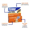 Ant Killer, 1-oz. Liquid