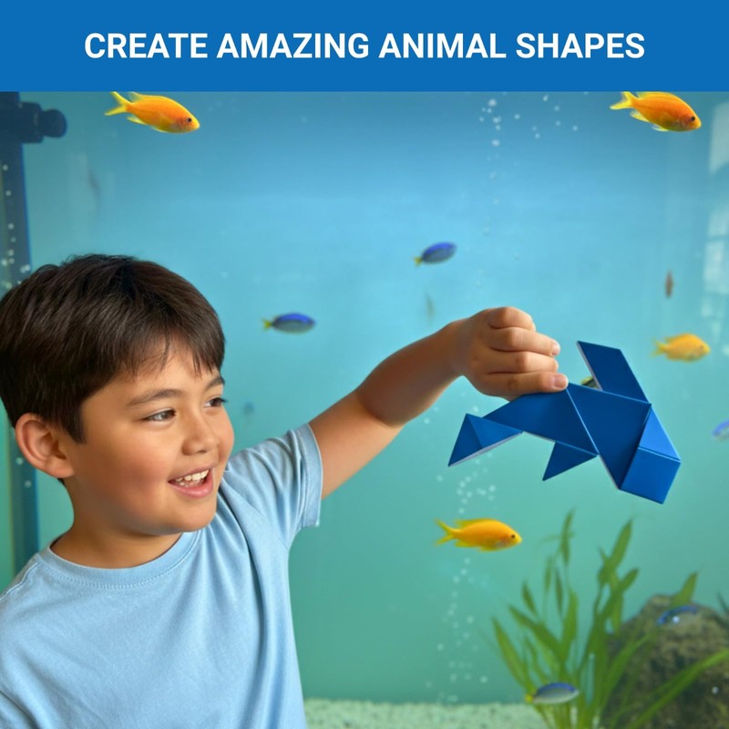 Pickagram Tangram 3D Magnetic Puzzle for Kids (8-12), Adults &