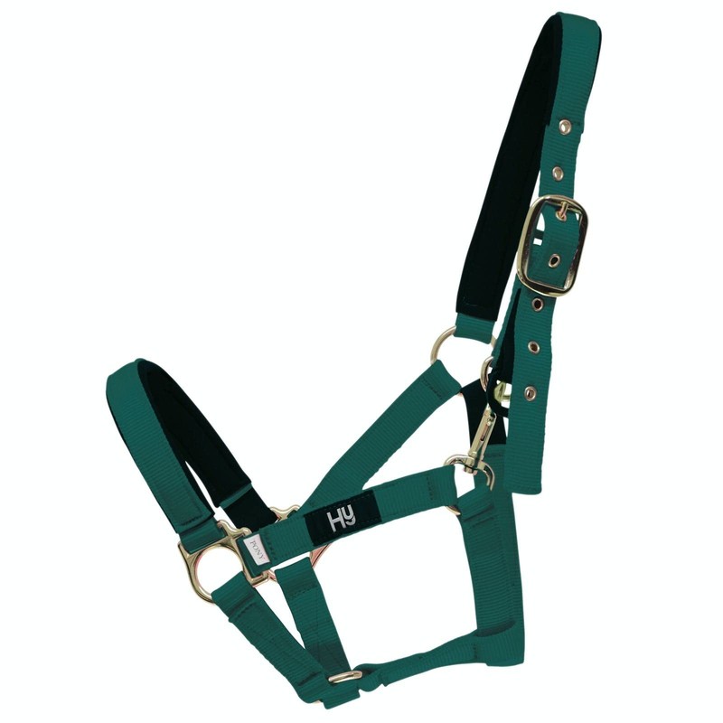 Hy Fieldsafe Headcollar - Navy - Cob - Horse Equestrian