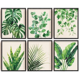 INFUNLY 6 PCS Botanical Plant Wall Art Prints Unframed Canvas Prints Wall Art Green Plant Leaves Art Wall Prints Boho Eucalyptus Leaf Wall Art for Living Room Bedroom Home Decor 9x11inches/23 * 28cm