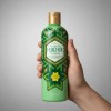 Shampoo Huichol Artesanal De Sabila Anticaida Original