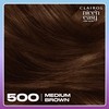 Clairol Nice'n Easy Tone+Gloss Semi Permanent Hair Dye - 500/765