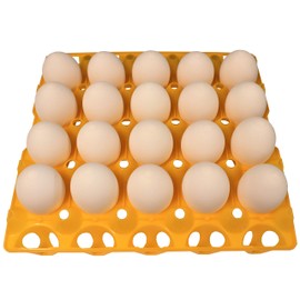 Rite Farm Products 6 20 Egg Plastic Trays for Duck Goose Turkey Peafowl Carton