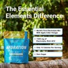 Essential Elements Hydration Packets - Blue Raspberry Pack - Sugar