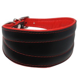 Real Leather Extra Wide Padded Tapered Dog Collar Glossy Black Greyhound Saluki Deerhound Lurcher Whippet Dachshund (11"-13" Neck; 2" Wide, Red)