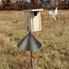 2 Pack Squirrel Baffle Accessory for Bird Feeder Pole and