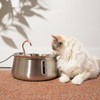 The KittySpout Stainless Steel Cat Water Fountain 2.0, 4L/135oz