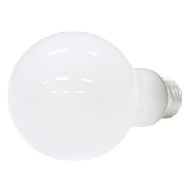 Artograph Prism Opaque Art Projector for Wall or Canvas (Not Digital) (Replacement Bulbs)