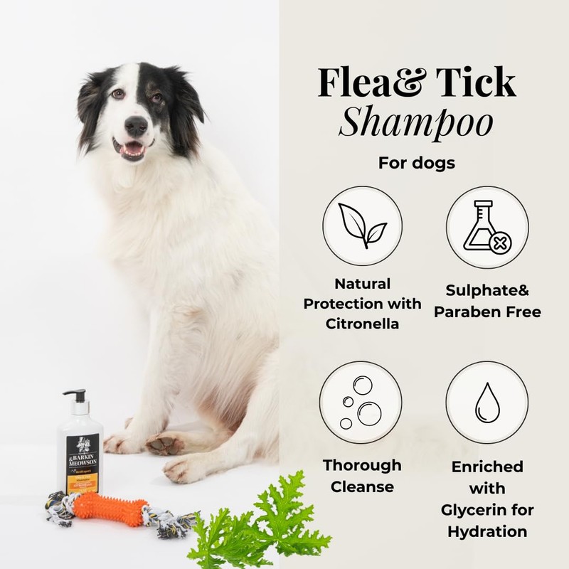 Barkin & Meowson Flea & Tick Dog Shampoo with Citronella,