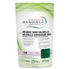 SPIRULINE GANDALF, GANDALF SPIRULINE Gandalf Organic Raw Chlorella Powder Broken