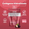Colágeno Hidrolizado Con Mangostán 500 Grs Flow