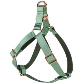 Lionet Paws Dog Harness, No-Pull Adjustable Silk Nylon Webbing Pet Harness with Metal Buckle for Small Dogs Easy Walking, Grass Green, XS