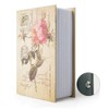 Diversion Book Safe Storage Box, Dictionary Secret Safe Can with