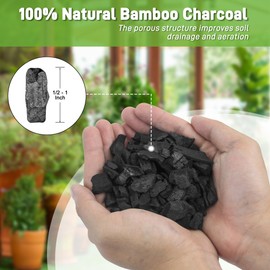 2 Quarts Horticultural Charcoal for Indoor Plants-Hardwood Potting Soil Amendment for Orchids, Succulent, Cactus, Terrariums, and Gardening